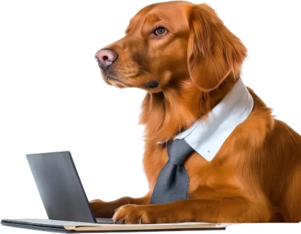 dogs