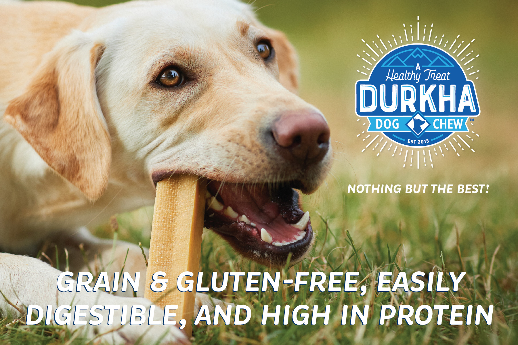 Durkha Dog Chew PDQ