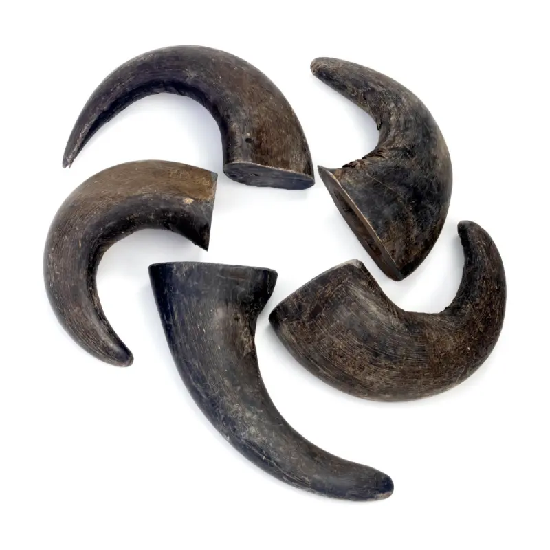 BULK-Buffalo-Horn-Large