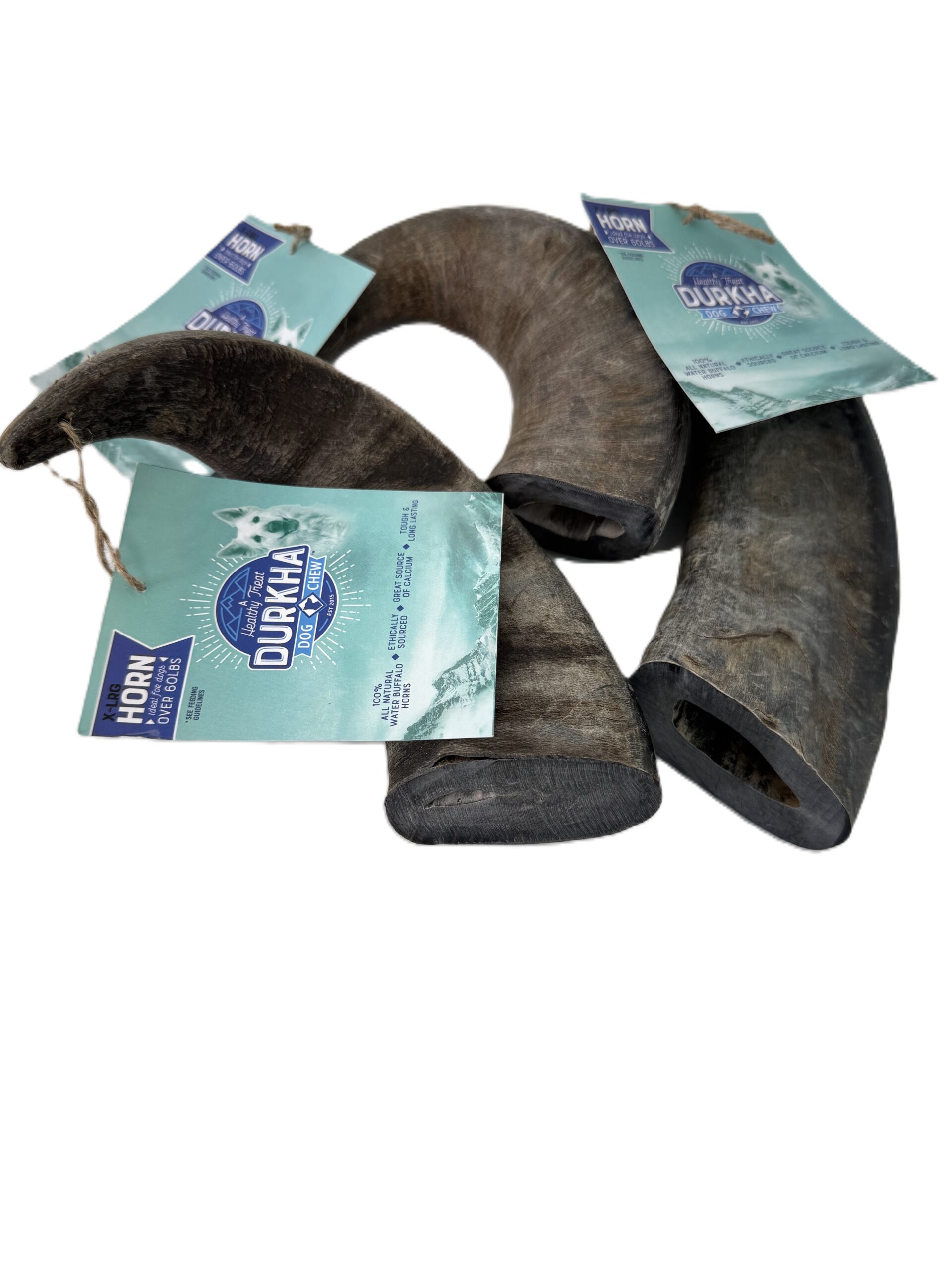 Durkha Water Buffalo Horns