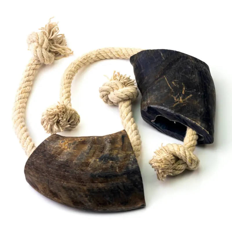 Durkha Buffalo Horn