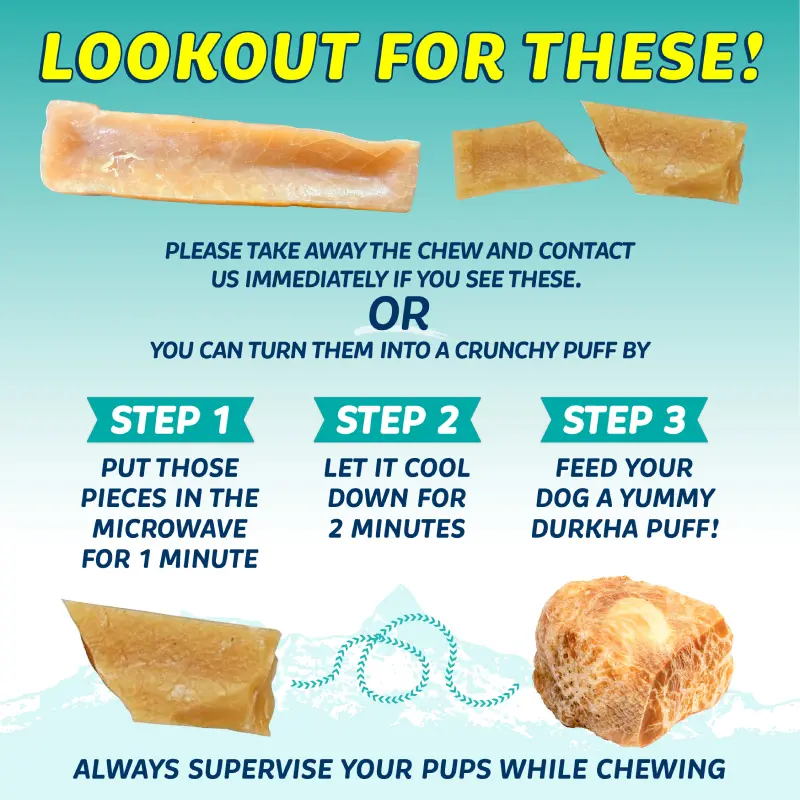 Broken-Chew-Instruction