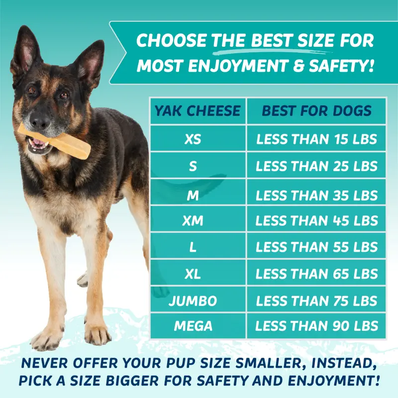 Size-Chart