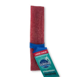 Single piece of strawberry-flavored dog chew size large with ElastiTag